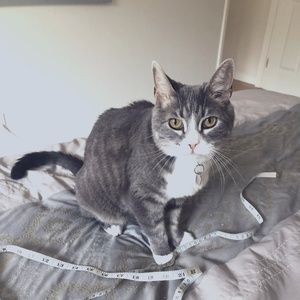 Meet your Posher, Ashley